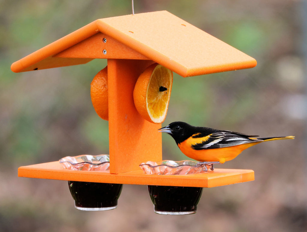 AmishToyBox.com Oriole Bird Feeder, Double-Cup Jelly Oriole Feeder with Pegs for Orange Halves