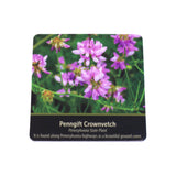 New! Great Outdoors 100 Piece Memory Card Game, Pennsylvania's Wildlife, Amish-Designed