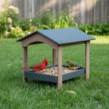 Ground Bird Feeder, Deluxe Fly-Through Covered Feeder for Birds and Squirrels with Screen Mesh Tray