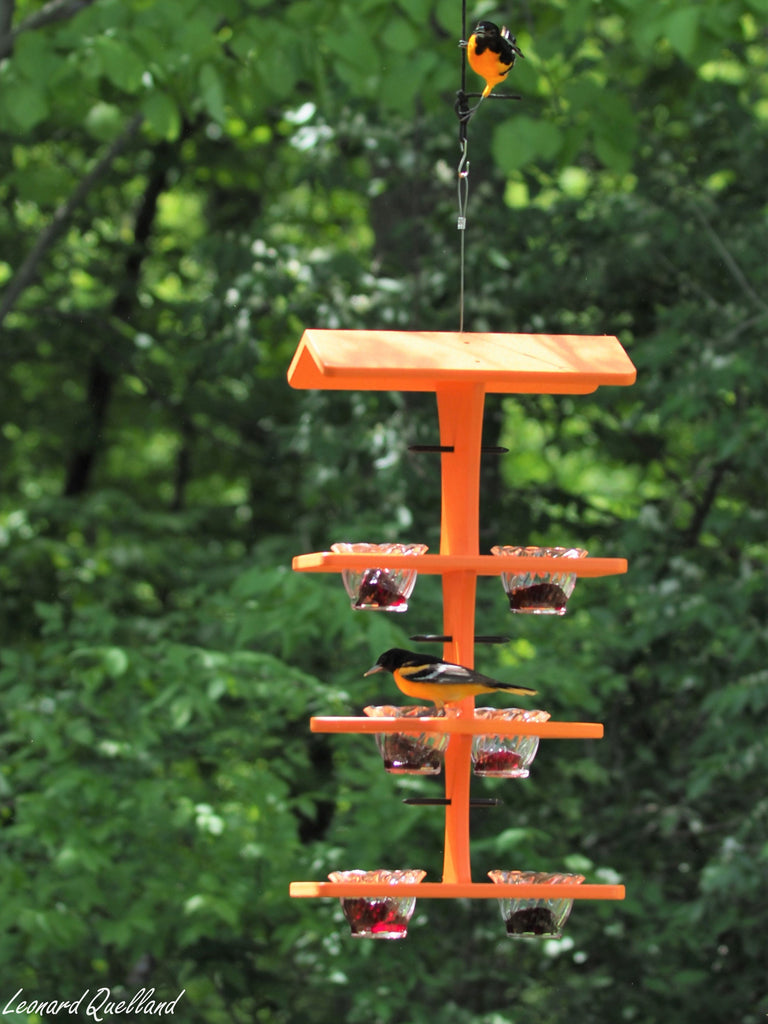 Deluxe Triple Deck Jelly-Cup Oriole Feeder with Orange Holder Pegs, Amish-Made