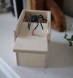 Wooden Spider Surprise Prank Box Toy, Amish-Made