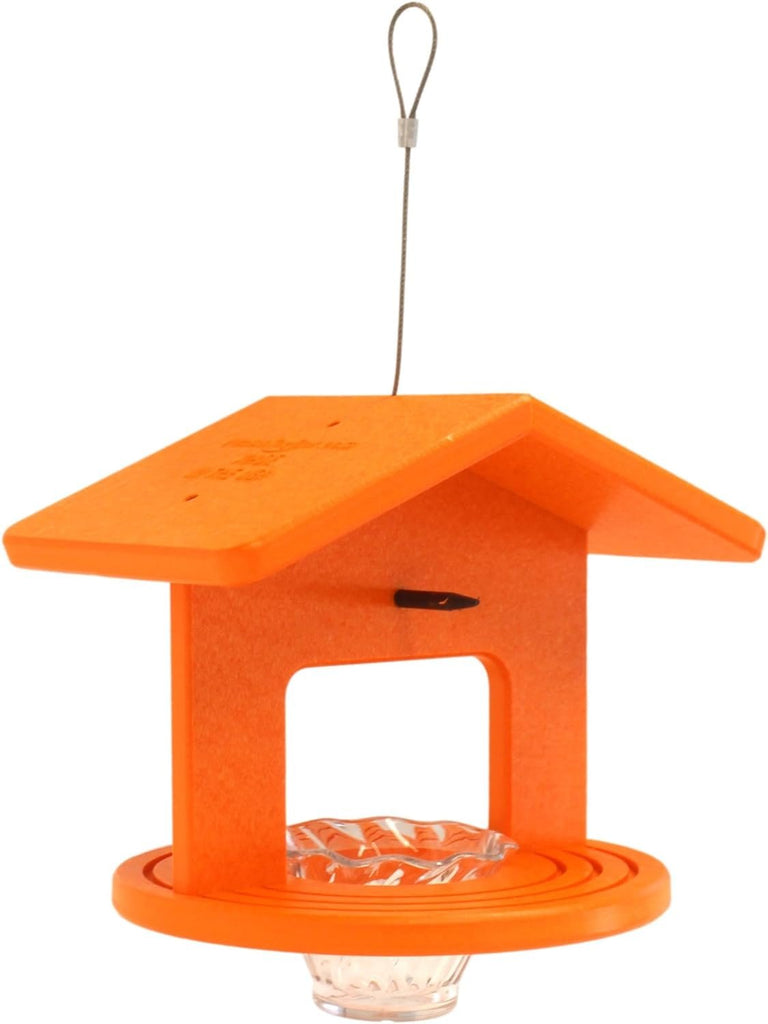 New! AmishToyBox.com Oriole Bird Feeder, Poly Lumber Hanging Round Oriole Jelly and Orange Feeder with Grooves for Grip, Single Cup