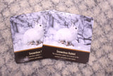 The Great Outdoors 100 Piece Memory Card Game, Pennsylvania's Wildlife in Large Card Pictures Amish-Made