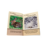 AmishToyBox.com Children's Picture Book, Pennsylvania's Great Outdoors in Vivid Color