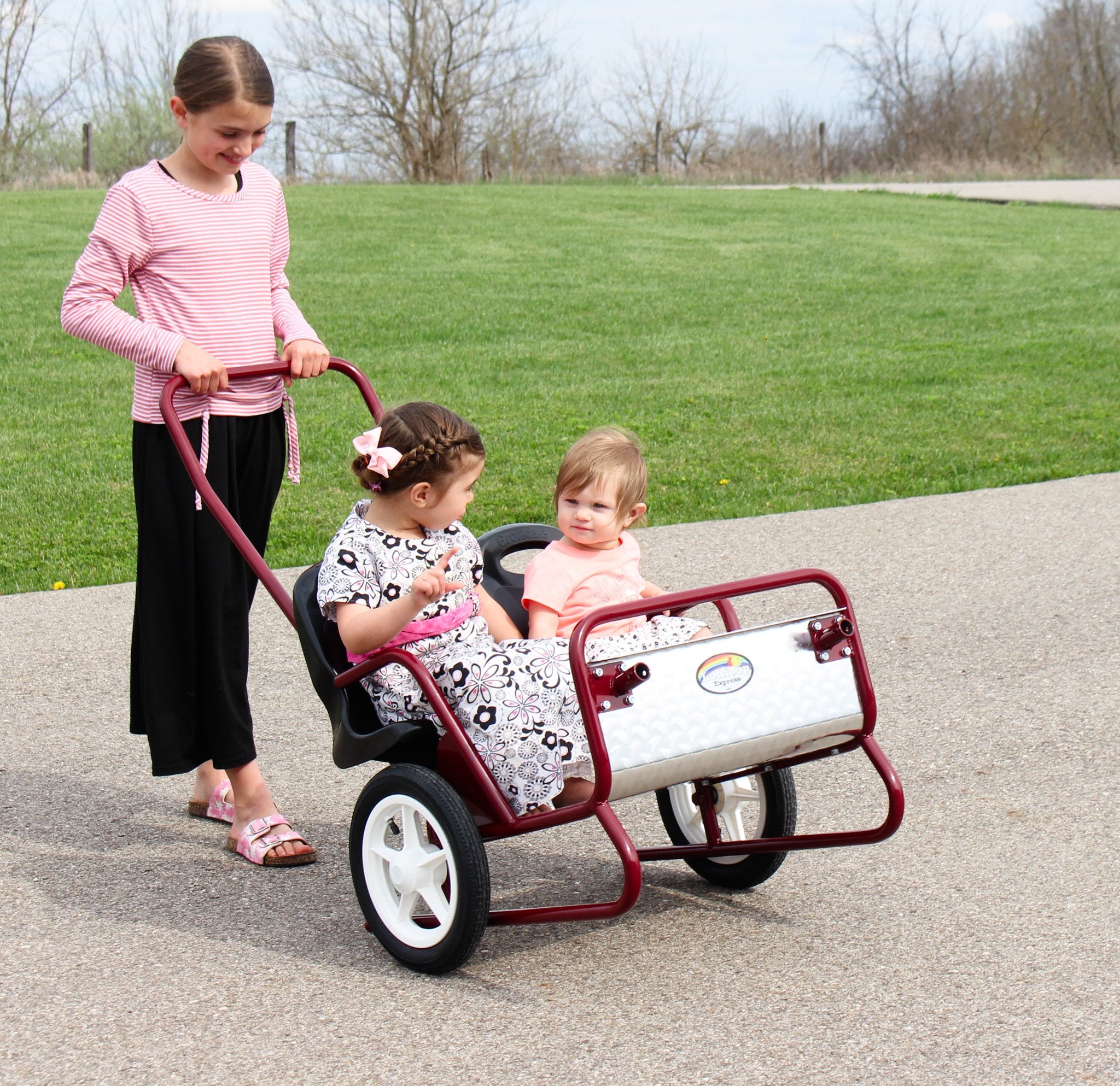 double pink stroller Amishtoybx.com Children's Push-Pull Express Cart, Trailer, Convertible, Amish-Made, Lollipop Express Stroller or Horsie Cart