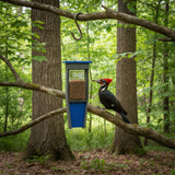 Pileated Woodpecker Suet Bird Feeder, Holds 2 Suet Cakes, Made With Poly Lumber