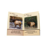 Children's Picture Book, Pennsylvania's Great Outdoors in Vivid Color