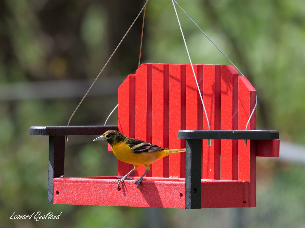 Amish-Made Porch Swing Bird Feeder, Eco-Friendly Poly Lumber Hanging Decorative Bird Feeder