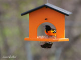 Amish-Made Oriole Jelly and Orange Bird Feeder, Eco-Friendly Poly Lumber Hanging Oriole Feeder