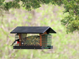 Amish-Made Deluxe Bird Feeder with Suet Holder, Eco-Friendly Poly Lumber