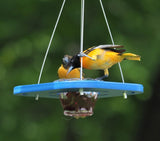 Oriole Bird Feeder, Porch Jelly-Cup Oriole Feeder