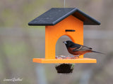 Amish-Made Oriole Jelly and Orange Bird Feeder, Eco-Friendly Poly Lumber Hanging Oriole Feeder