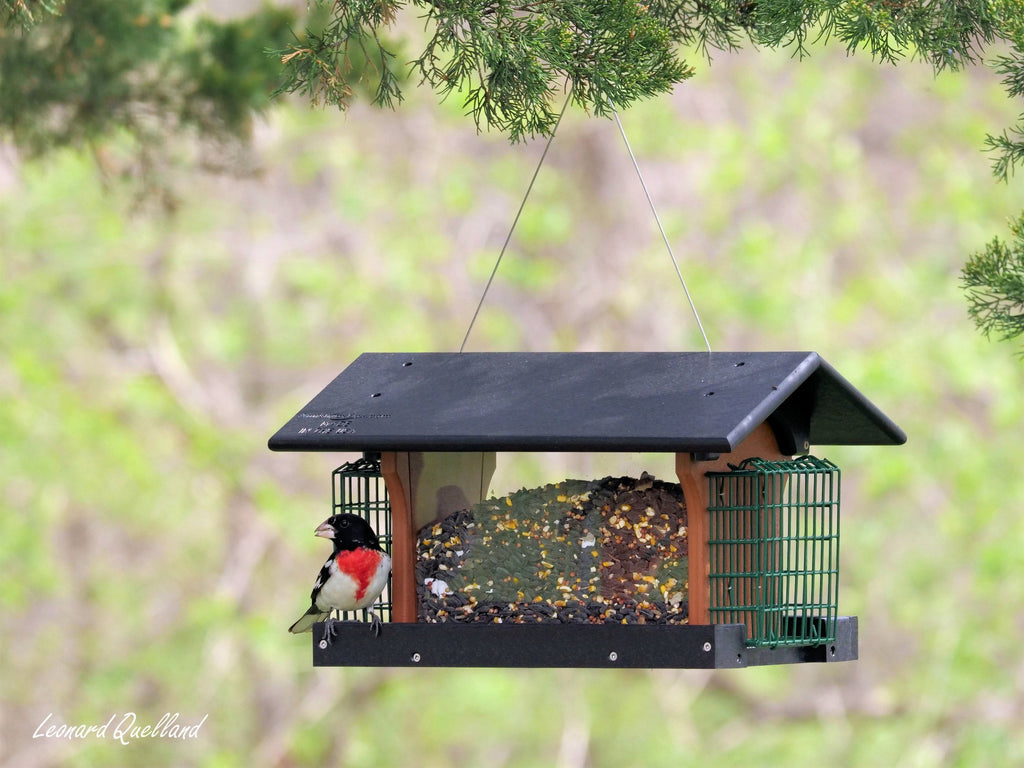 Amish-Made Deluxe Bird Feeder with Suet Holder, Eco-Friendly Poly Lumber