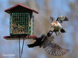 Amish-Made Double Suet Bird Feeder, Eco-Friendly Poly Lumber