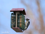 Amish-Made Double Suet Bird Feeder, Eco-Friendly Poly Lumber