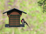 Amish-Made Deluxe Bird Feeder with Suet Holder, Eco-Friendly Poly Lumber