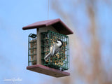 Amish-Made Double Suet Bird Feeder, Eco-Friendly Poly Lumber