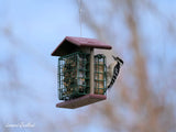 Amish-Made Double Suet Bird Feeder, Eco-Friendly Poly Lumber