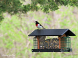 Amish-Made Deluxe Bird Feeder with Suet Holder, Eco-Friendly Poly Lumber