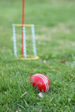 Amish-Made Deluxe Flag Croquet Golf Game Set, With Duffel Carry Bag