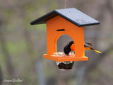 Amish-Made Oriole Jelly and Orange Bird Feeder, Eco-Friendly Poly Lumber Hanging Oriole Feeder