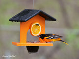 Amish-Made Oriole Jelly and Orange Bird Feeder, Eco-Friendly Poly Lumber Hanging Oriole Feeder